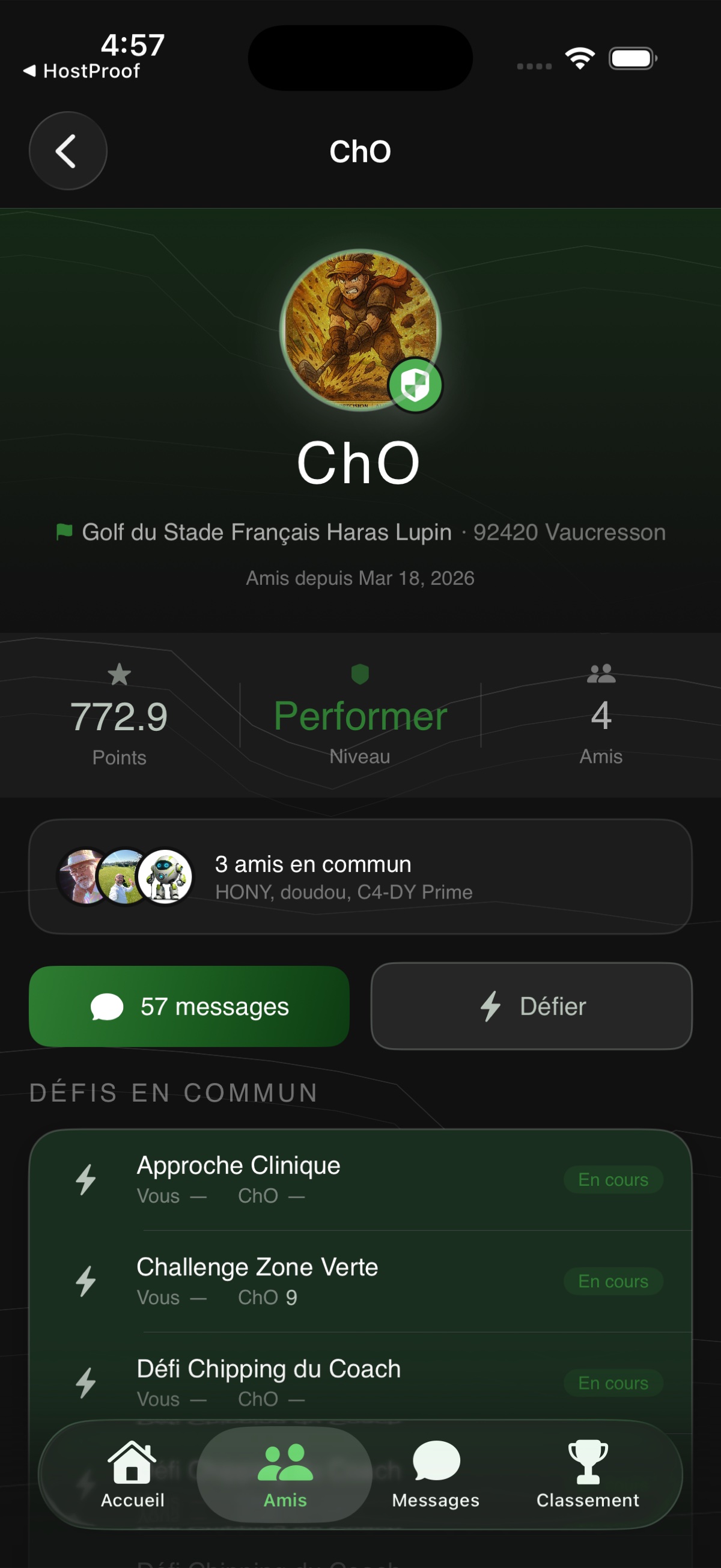 Profil ami